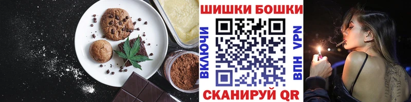 купить наркоту  Жердевка  mega как войти  Canna-Cookies марихуана 