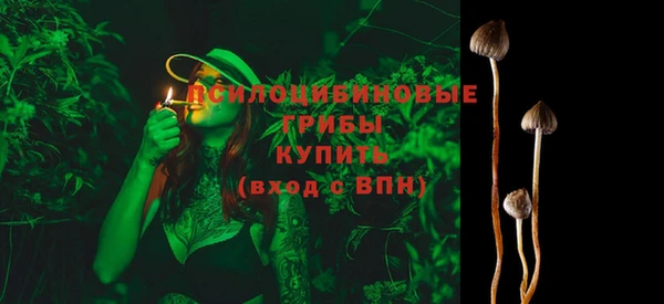 ешки Алексеевка