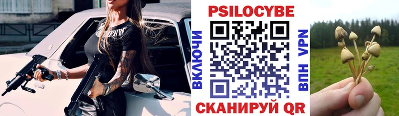 даркнет какой сайт  магазин    Жердевка  Псилоцибиновые грибы Psilocybine cubensis 